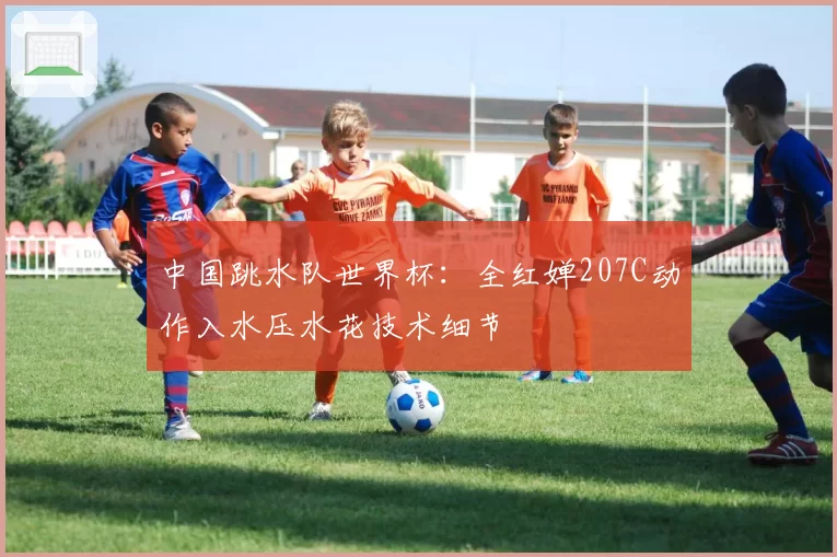 中国跳水队世界杯：全红婵207C动作入水压水花技术细节