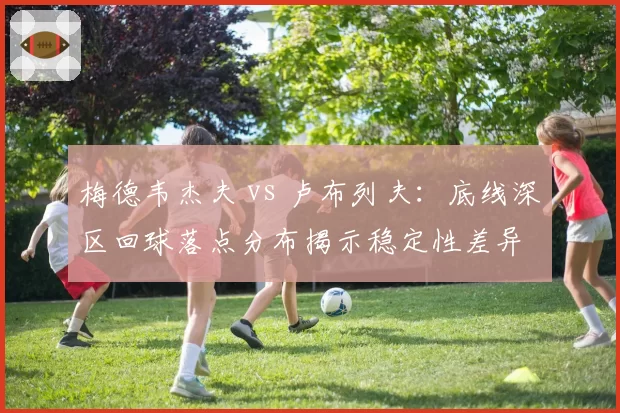 梅德韦杰夫 vs 卢布列夫:底线深区回球落点分布揭示稳定性差异