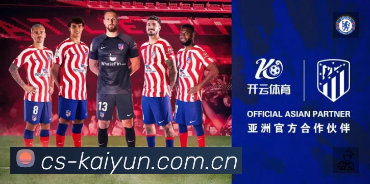 开云平台展示图